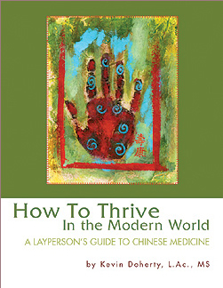 How To Thrive In The Modern World: A Layperson's Guide to Chinese Medicine